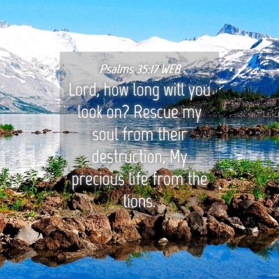 Picture 04 - Psalms 35:17 WEB - Lord, how long will you look on? Rescue my soul - Bible Verse Picture