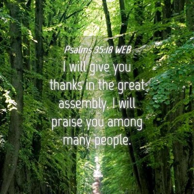Picture 04 - Psalms 35:18 WEB - I will give you thanks in the great assembly. I - Bible Verse Picture