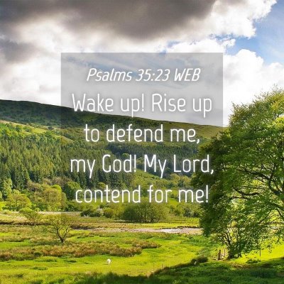 Picture 04 - Psalms 35:23 WEB - Wake up! Rise up to defend me, my God! My Lord, - Bible Verse Picture