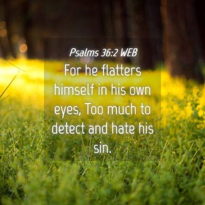Picture 04 - Psalms 36:2 WEB - For he flatters himself in his own eyes, Too much - Bible Verse Picture