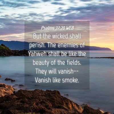 Picture 04 - Psalms 37:20 WEB - But the wicked shall perish. The enemies of - Bible Verse Picture