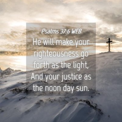 Picture 04 - Psalms 37:6 WEB - He will make your righteousness go forth as the - Bible Verse Picture