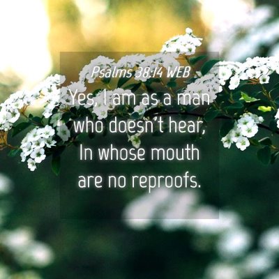 Picture 04 - Psalms 38:14 WEB - Yes, I am as a man who doesn't hear, In whose - Bible Verse Picture