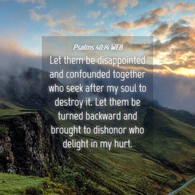 Picture 04 - Psalms 40:14 WEB - Let them be disappointed and confounded together - Bible Verse Picture