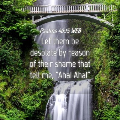 Picture 04 - Psalms 40:15 WEB - Let them be desolate by reason of their shame - Bible Verse Picture