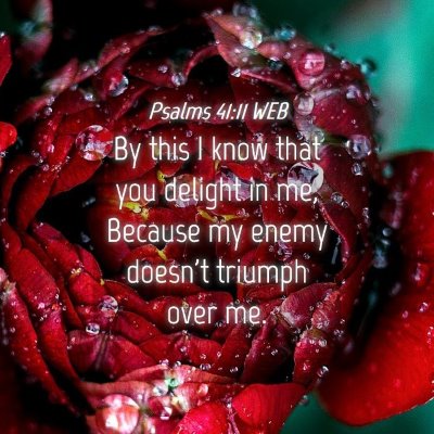 Picture 04 - Psalms 41:11 WEB - By this I know that you delight in me, Because my - Bible Verse Picture