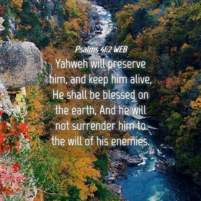 Picture 04 - Psalms 41:2 WEB - Yahweh will preserve him, and keep him alive, He - Bible Verse Picture