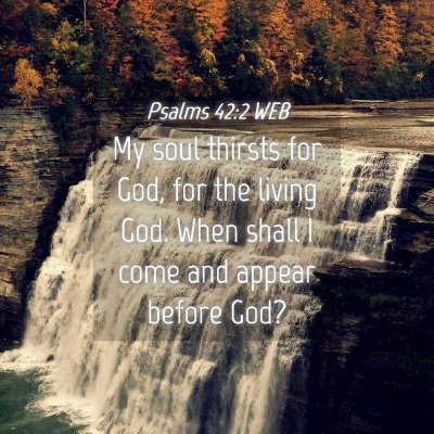 Picture 04 - Psalms 42:2 WEB - My soul thirsts for God, for the living God. When - Bible Verse Picture