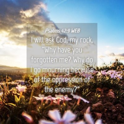 Picture 04 - Psalms 42:9 WEB - I will ask God, my rock, 