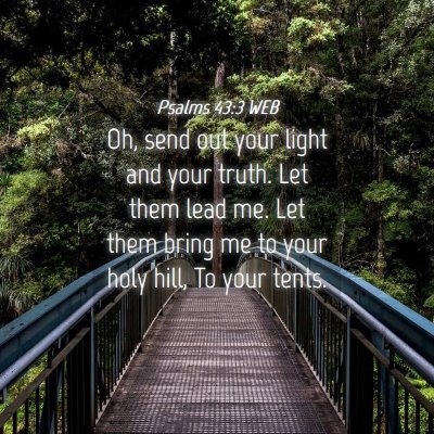 Picture 04 - Psalms 43:3 WEB - Oh, send out your light and your truth. Let them - Bible Verse Picture