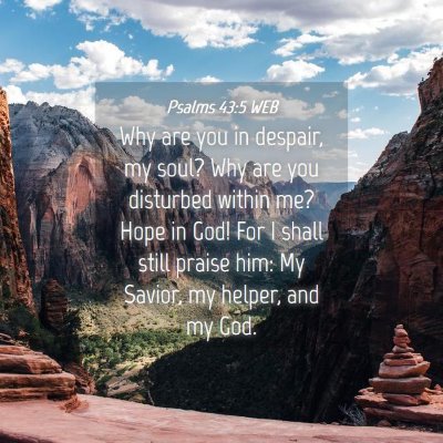 Picture 04 - Psalms 43:5 WEB - Why are you in despair, my soul? Why are you - Bible Verse Picture