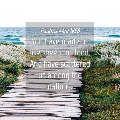 Picture 04 - Psalms 44:11 WEB - You have made us like sheep for food, And have - Bible Verse Picture