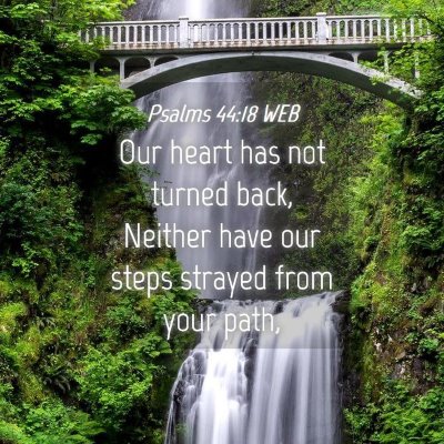 Picture 04 - Psalms 44:18 WEB - Our heart has not turned back, Neither have our - Bible Verse Picture