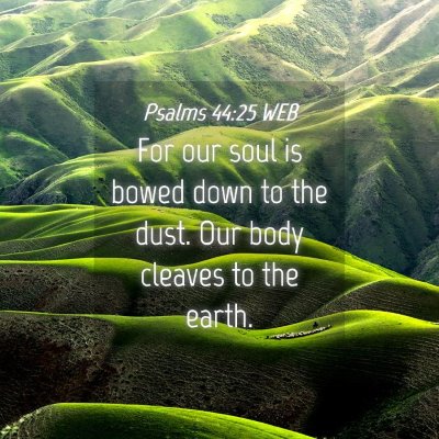 Picture 04 - Psalms 44:25 WEB - For our soul is bowed down to the dust. Our body - Bible Verse Picture