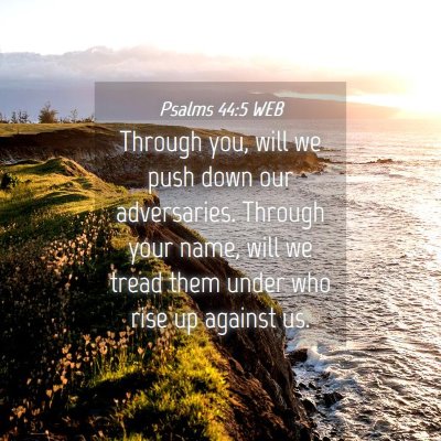 Picture 04 - Psalms 44:5 WEB - Through you, will we push down our adversaries. - Bible Verse Picture