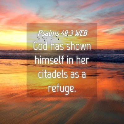 Picture 04 - Psalms 48:3 WEB - God has shown himself in her citadels as a - Bible Verse Picture