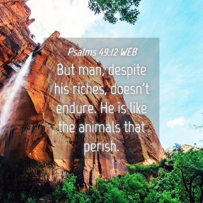 Picture 04 - Psalms 49:12 WEB - But man, despite his riches, doesn't endure. He - Bible Verse Picture