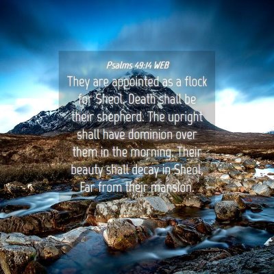 Picture 04 - Psalms 49:14 WEB - They are appointed as a flock for Sheol. Death - Bible Verse Picture