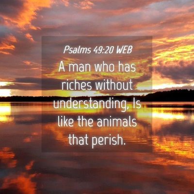Picture 04 - Psalms 49:20 WEB - A man who has riches without understanding, Is - Bible Verse Picture