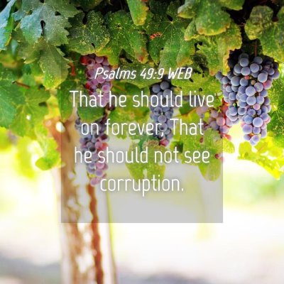Picture 04 - Psalms 49:9 WEB - That he should live on forever, That he should - Bible Verse Picture