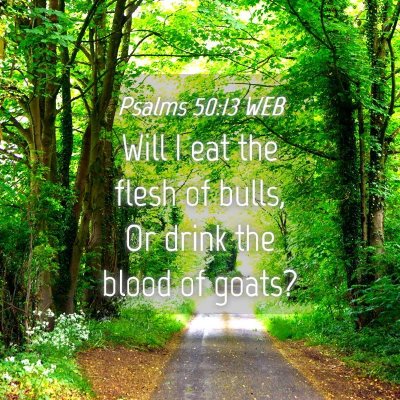 Picture 04 - Psalms 50:13 WEB - Will I eat the flesh of bulls, Or drink the blood - Bible Verse Picture