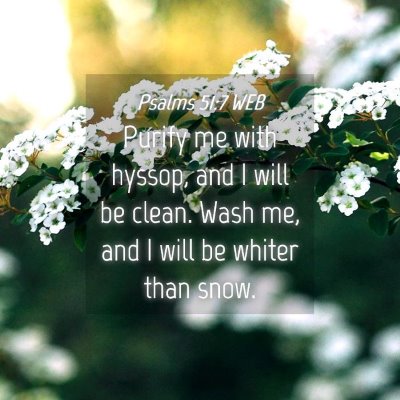 Picture 04 - Psalms 51:7 WEB - Purify me with hyssop, and I will be clean. Wash - Bible Verse Picture