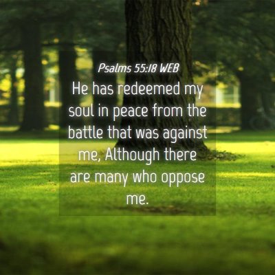 Picture 04 - Psalms 55:18 WEB - He has redeemed my soul in peace from the battle - Bible Verse Picture