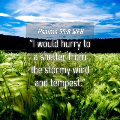 Picture 04 - Psalms 55:8 WEB - 