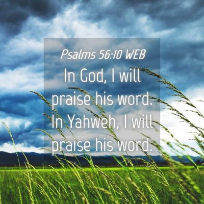 Picture 04 - Psalms 56:10 WEB - In God, I will praise his word. In Yahweh, I will - Bible Verse Picture