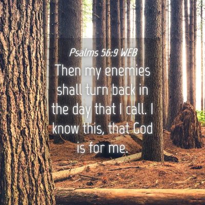 Picture 04 - Psalms 56:9 WEB - Then my enemies shall turn back in the day that I - Bible Verse Picture