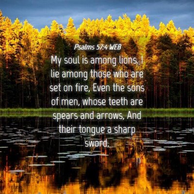 Picture 04 - Psalms 57:4 WEB - My soul is among lions. I lie among those who are - Bible Verse Picture
