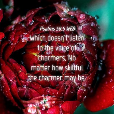 Picture 04 - Psalms 58:5 WEB - Which doesn't listen to the voice of charmers, No - Bible Verse Picture