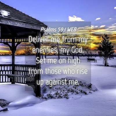 Picture 04 - Psalms 59:1 WEB - Deliver me from my enemies, my God. Set me on - Bible Verse Picture