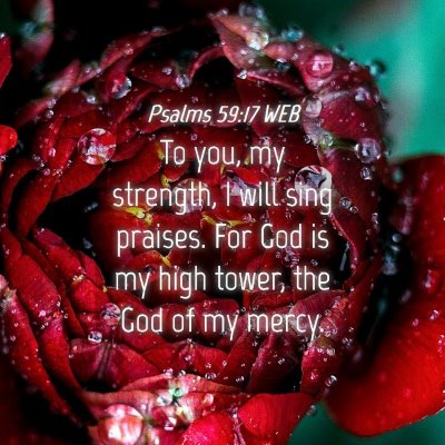 Picture 04 - Psalms 59:17 WEB - To you, my strength, I will sing praises. For God - Bible Verse Picture