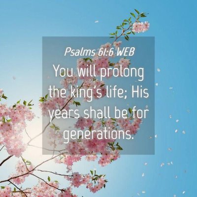 Picture 04 - Psalms 61:6 WEB - You will prolong the king's life; His years shall - Bible Verse Picture