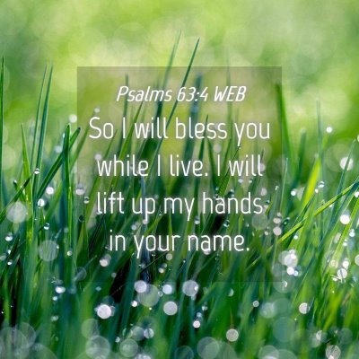 Picture 04 - Psalms 63:4 WEB - So I will bless you while I live. I will lift up - Bible Verse Picture