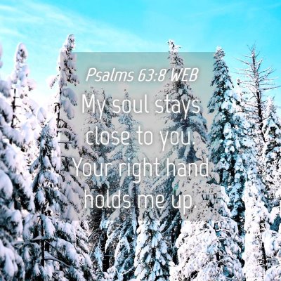 Picture 04 - Psalms 63:8 WEB - My soul stays close to you. Your right hand holds - Bible Verse Picture