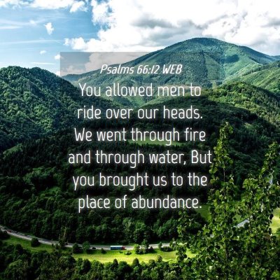 Picture 04 - Psalms 66:12 WEB - You allowed men to ride over our heads. We went - Bible Verse Picture