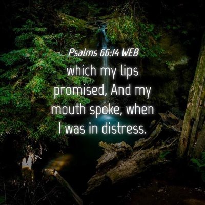 Picture 04 - Psalms 66:14 WEB - which my lips promised, And my mouth spoke, when - Bible Verse Picture