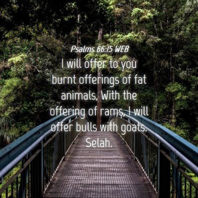 Picture 04 - Psalms 66:15 WEB - I will offer to you burnt offerings of fat - Bible Verse Picture