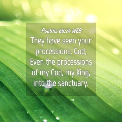 Picture 04 - Psalms 68:24 WEB - They have seen your processions, God, Even the - Bible Verse Picture