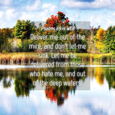 Picture 04 - Psalms 69:14 WEB - Deliver me out of the mire, and don't let me - Bible Verse Picture