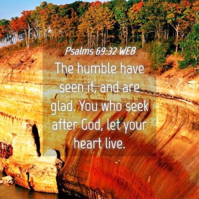 Picture 04 - Psalms 69:32 WEB - The humble have seen it, and are glad. You who - Bible Verse Picture