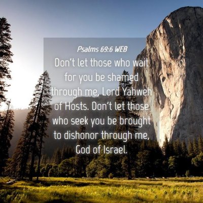 Picture 04 - Psalms 69:6 WEB - Don't let those who wait for you be shamed - Bible Verse Picture