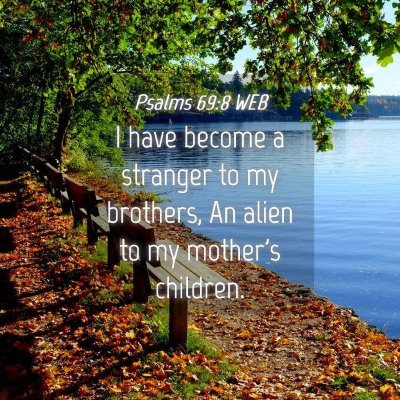 Picture 04 - Psalms 69:8 WEB - I have become a stranger to my brothers, An alien - Bible Verse Picture
