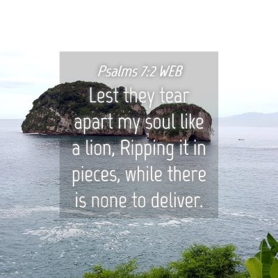 Picture 04 - Psalms 7:2 WEB - Lest they tear apart my soul like a lion, Ripping - Bible Verse Picture