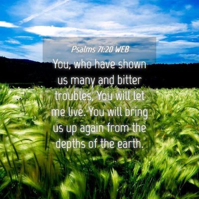 Picture 04 - Psalms 71:20 WEB - You, who have shown us many and bitter troubles, - Bible Verse Picture
