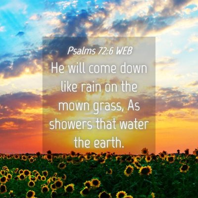 Picture 04 - Psalms 72:6 WEB - He will come down like rain on the mown grass, As - Bible Verse Picture