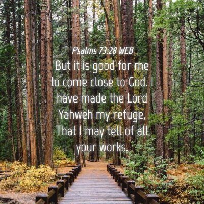 Picture 04 - Psalms 73:28 WEB - But it is good for me to come close to God. I - Bible Verse Picture