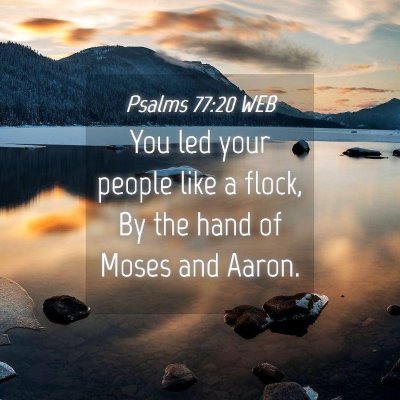 Picture 04 - Psalms 77:20 WEB - You led your people like a flock, By the hand of - Bible Verse Picture